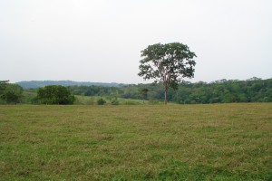 F-27 Fazenda 250ha