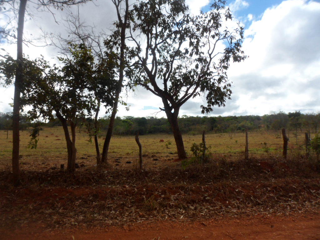 F-13 Fazenda 30 ha Curvelo