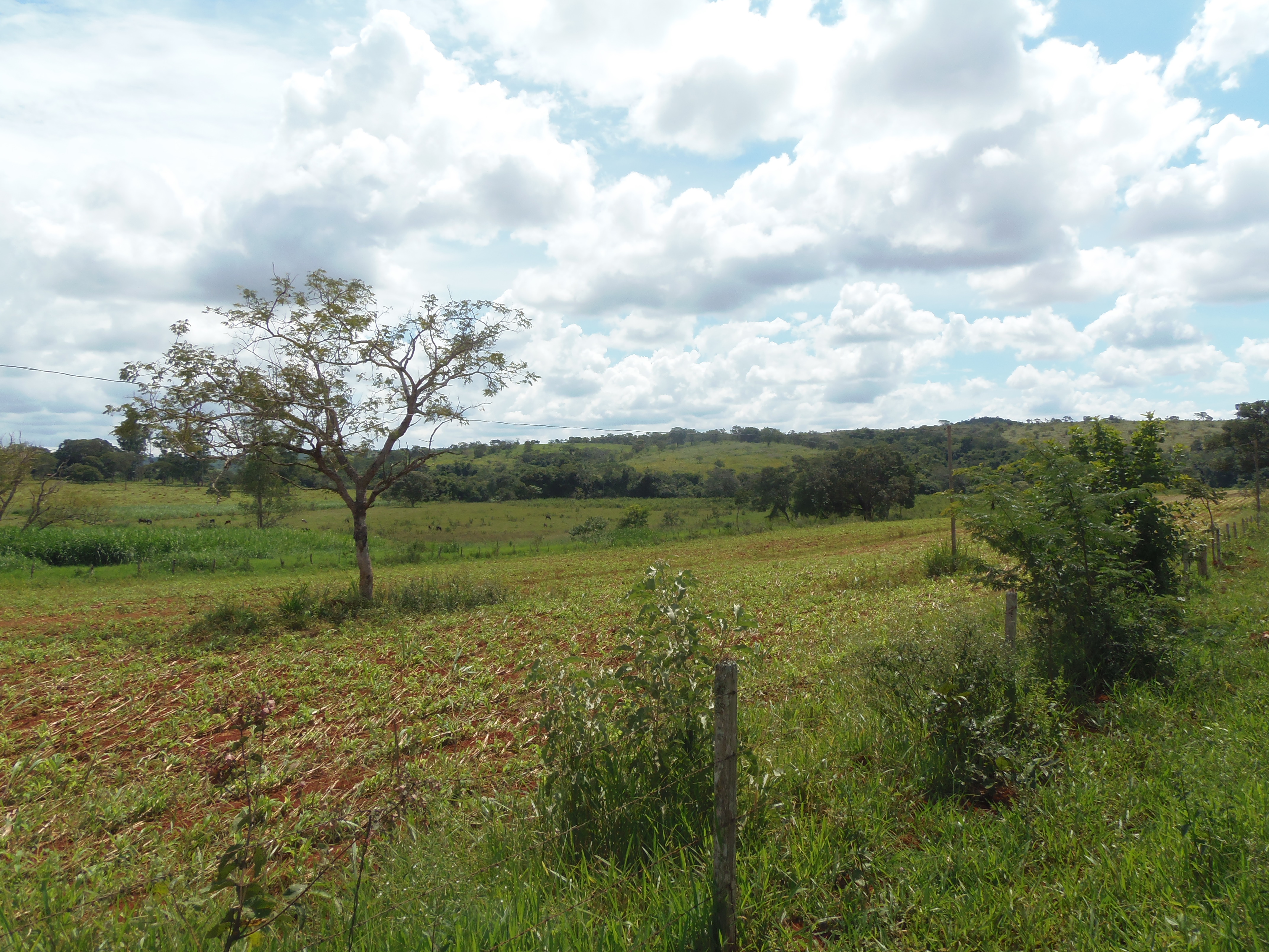 F-17 Fazenda 400 ha Martinho Campos