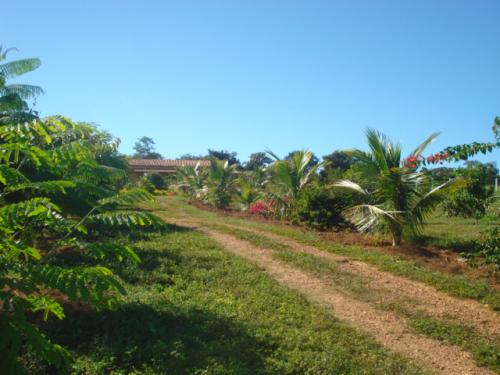 F-20 Fazenda 200 ha