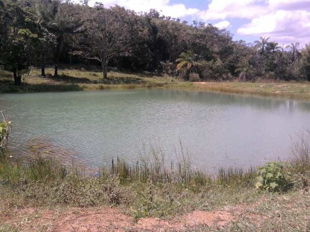 F-14 Fazenda 125 ha Paraopeba