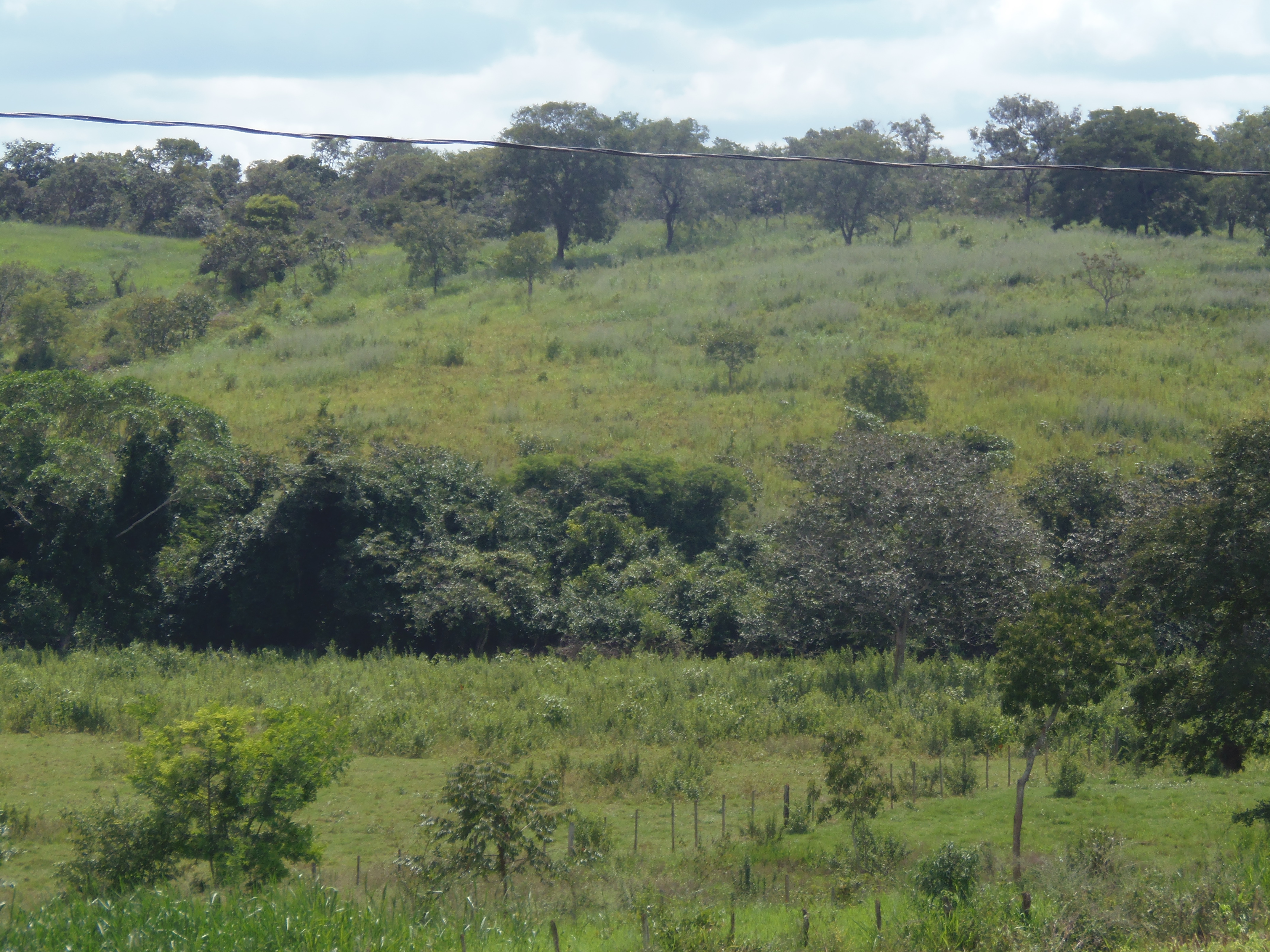 F-17 Fazenda 400 ha Martinho Campos