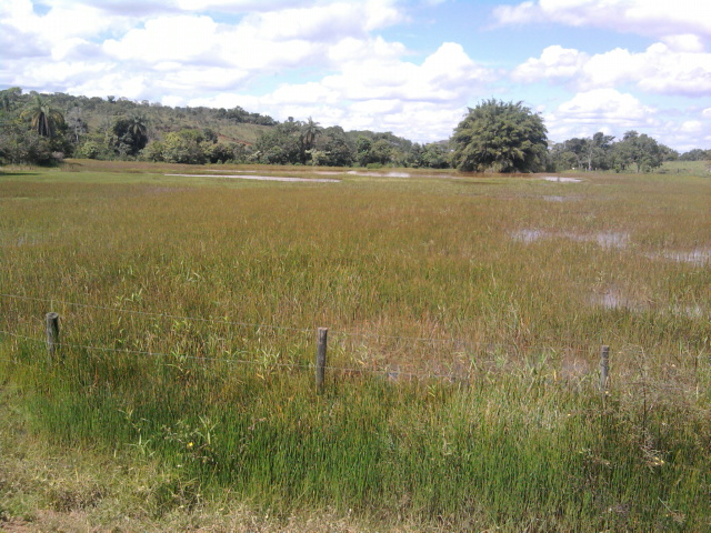 F-14 Fazenda 125 ha Paraopeba