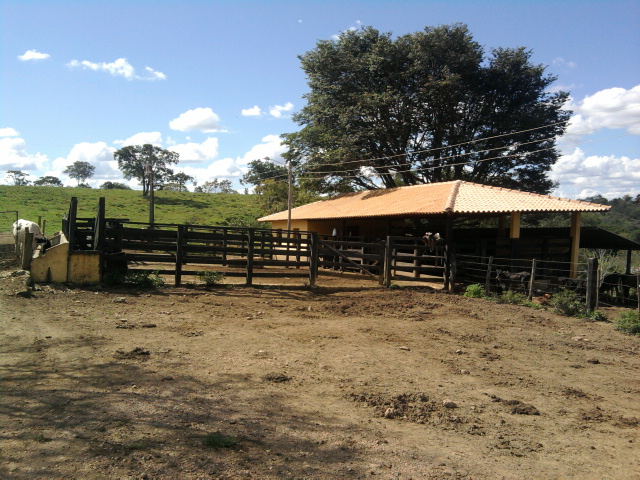 F-10 Fazenda 100 ha Cordisburgo