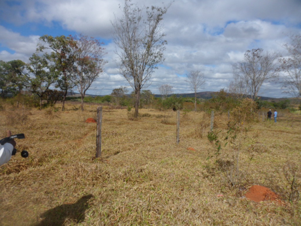 F-13 Fazenda 30 ha Curvelo