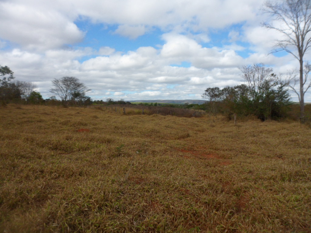 F-13 Fazenda 30 ha Curvelo