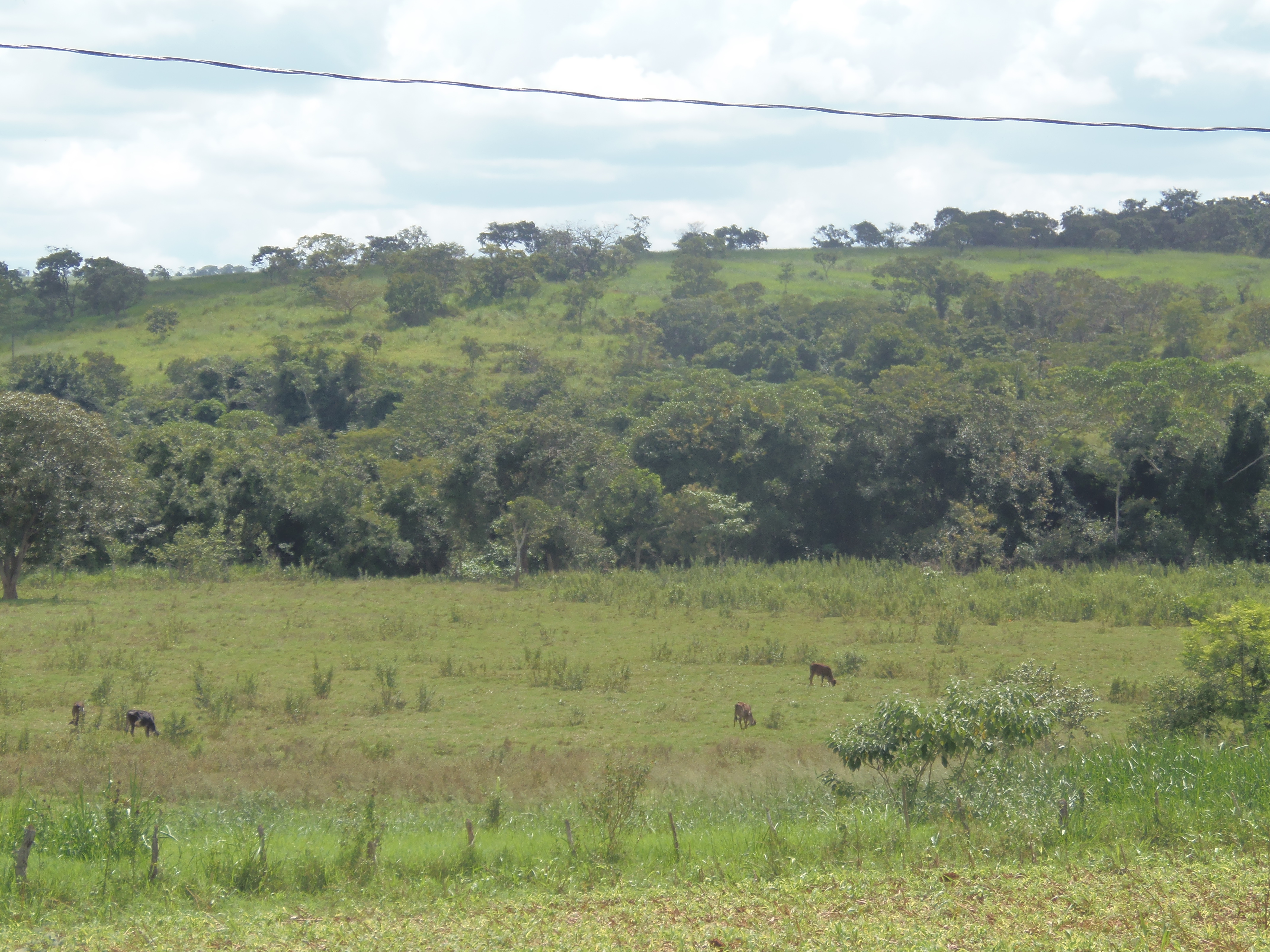 F-17 Fazenda 400 ha Martinho Campos