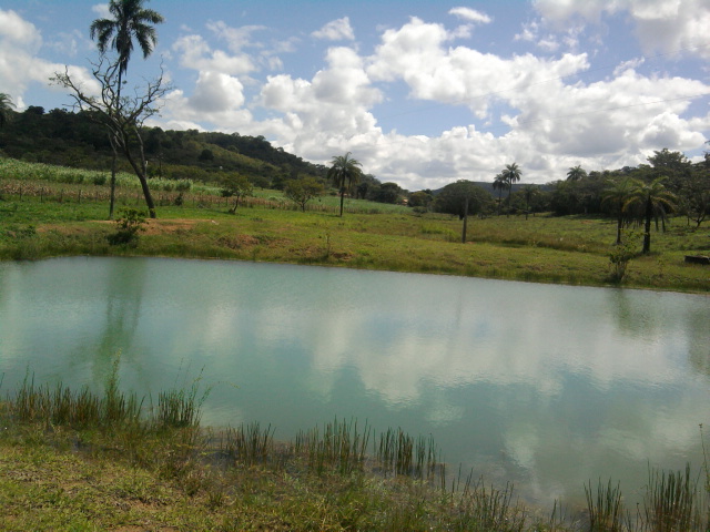 F-14 Fazenda 125 ha Paraopeba