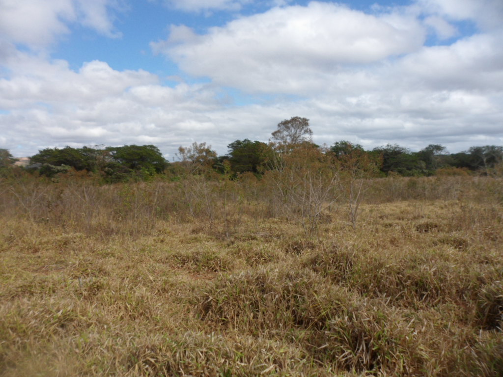 F-13 Fazenda 30 ha Curvelo