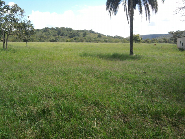 F-14 Fazenda 125 ha Paraopeba