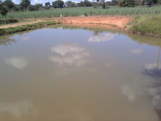 F-10 Fazenda 100 ha Cordisburgo