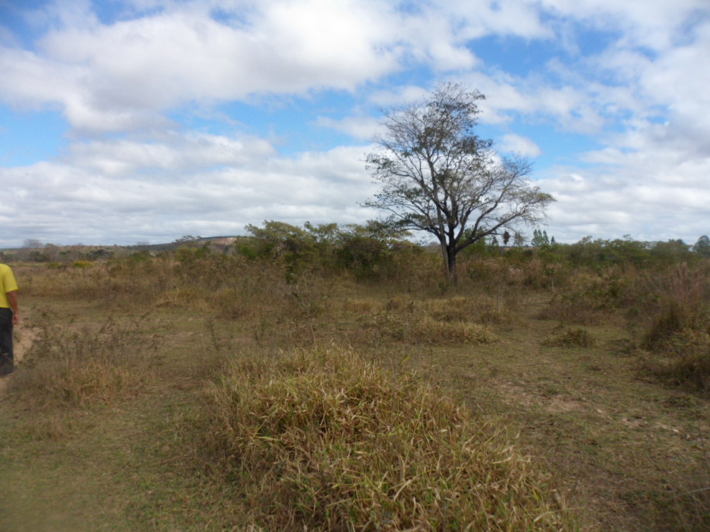 F-13 Fazenda 30 ha Curvelo