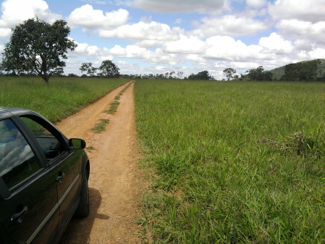 F-14 Fazenda 125 ha Paraopeba