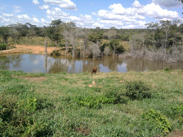 F-10 Fazenda 100 ha Cordisburgo