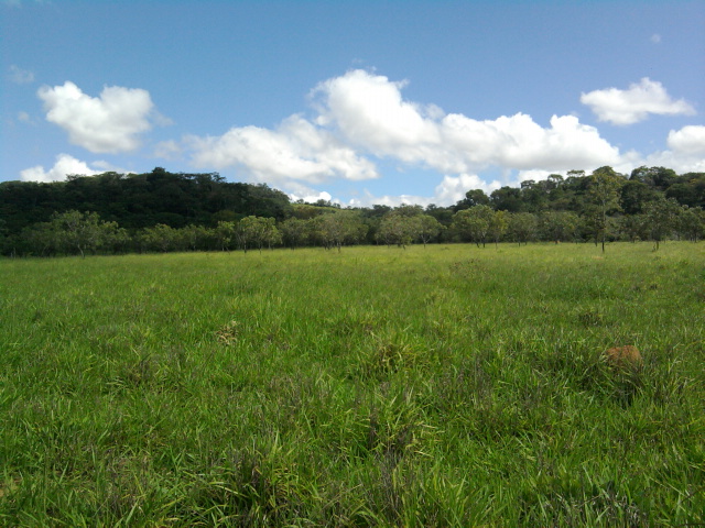 F-14 Fazenda 125 ha Paraopeba