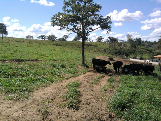 F-10 Fazenda 100 ha Cordisburgo