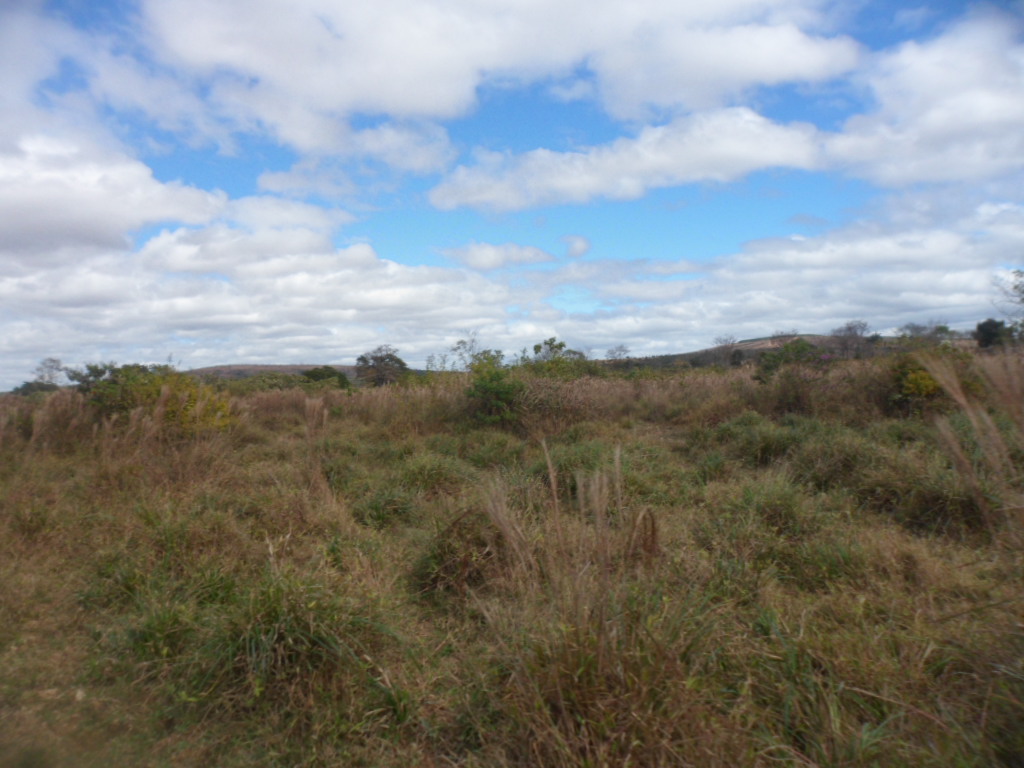 F-13 Fazenda 30 ha Curvelo