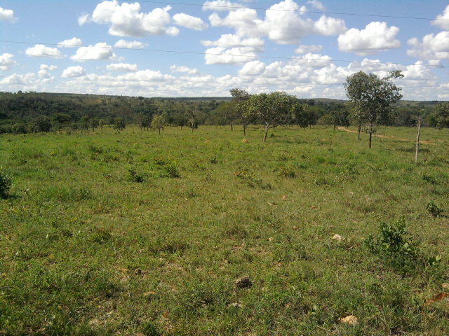 F-10 Fazenda 100 ha Cordisburgo