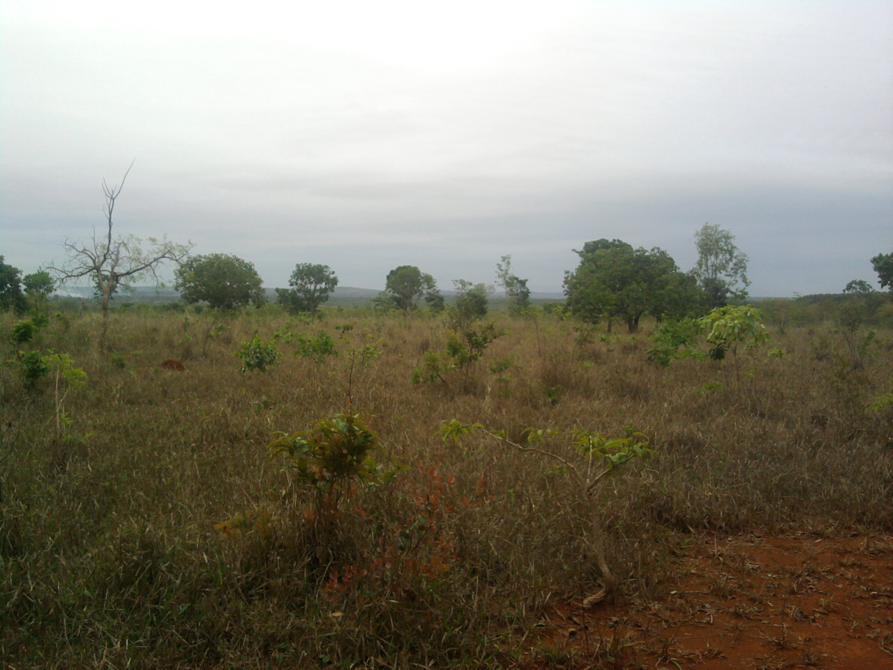 F-16 Fazenda 214 ha Curvelo