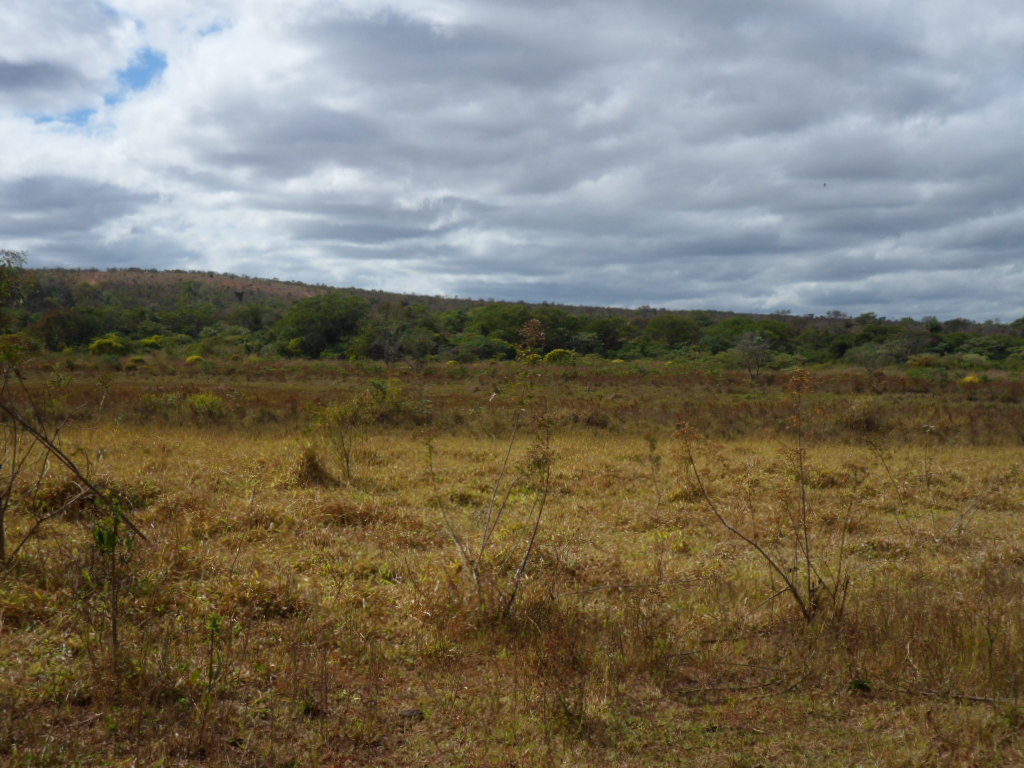 F-13 Fazenda 30 ha Curvelo