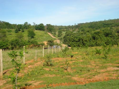 F-20 Fazenda 200 ha