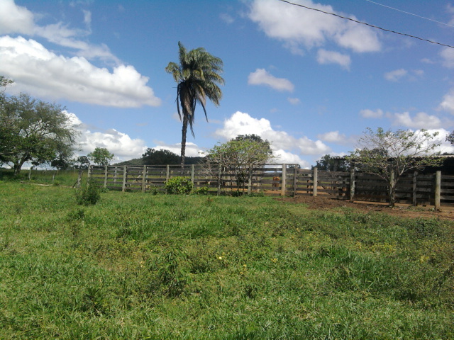 F-14 Fazenda 125 ha Paraopeba