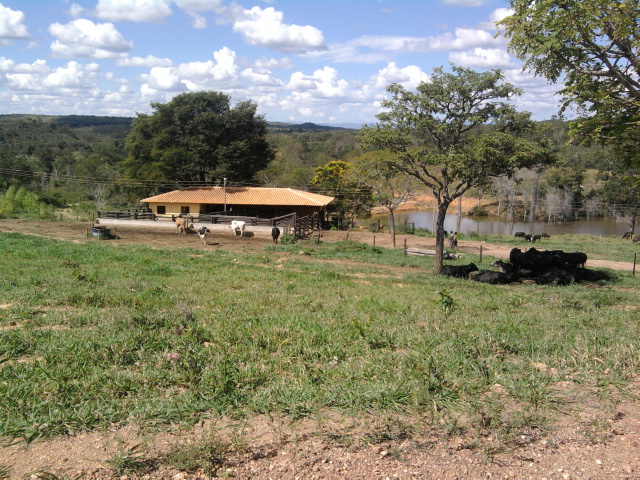 F-10 Fazenda 100 ha Cordisburgo