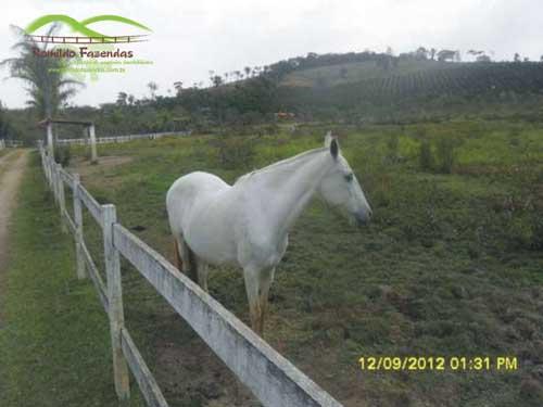 F-26 Fazenda 90 ha