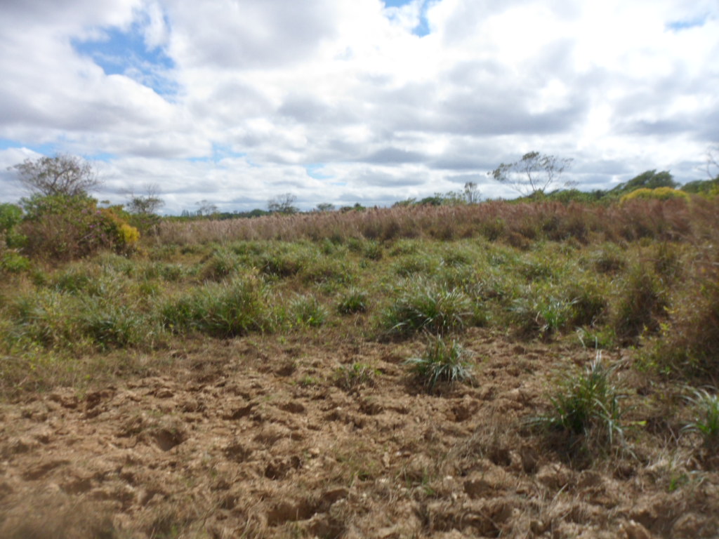 F-13 Fazenda 30 ha Curvelo