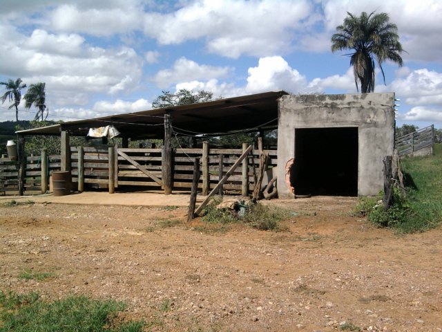 F-14 Fazenda 125 ha Paraopeba