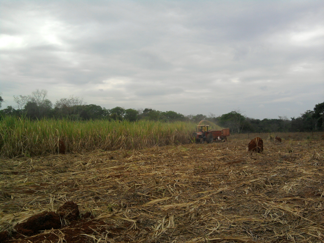 F-08 Fazenda 558 ha Curvelo