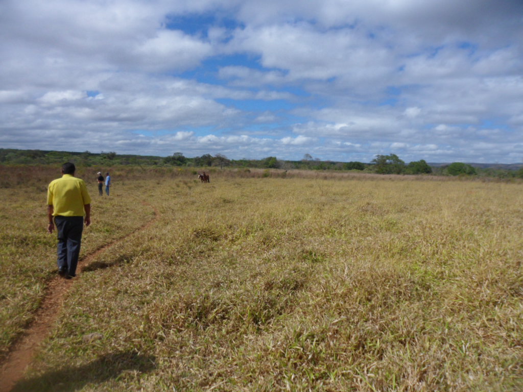 F-13 Fazenda 30 ha Curvelo