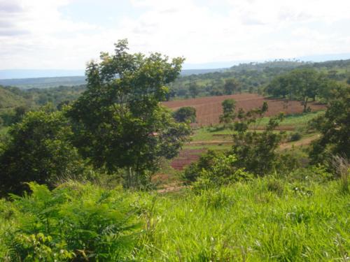 F-20 Fazenda 200 ha