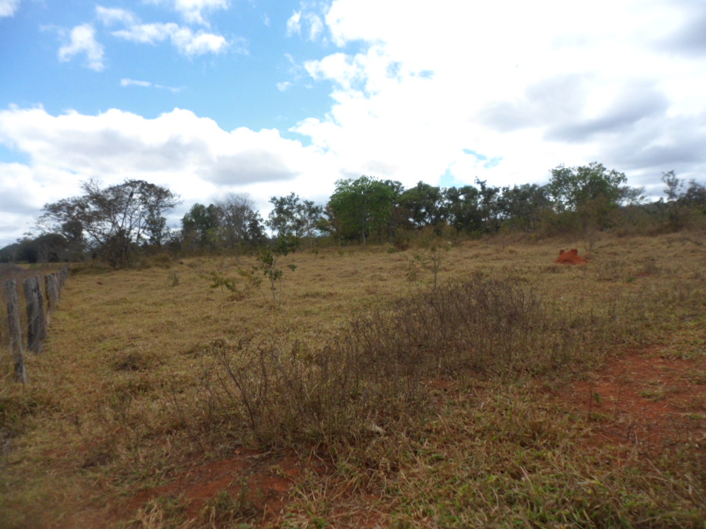 F-13 Fazenda 30 ha Curvelo