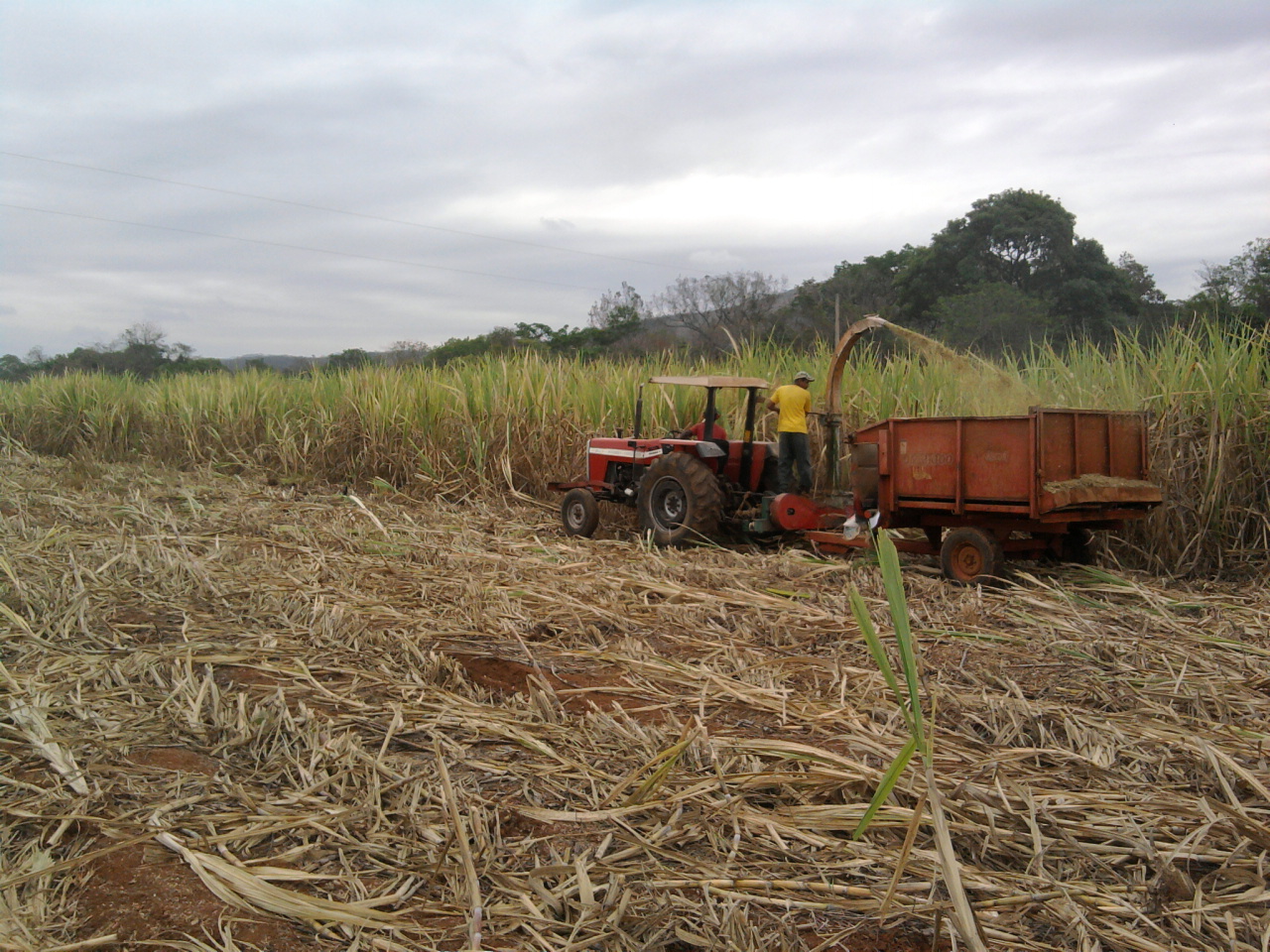 F-08 Fazenda 558 ha Curvelo