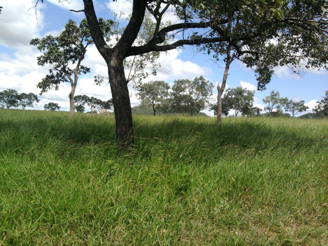 F-14 Fazenda 125 ha Paraopeba