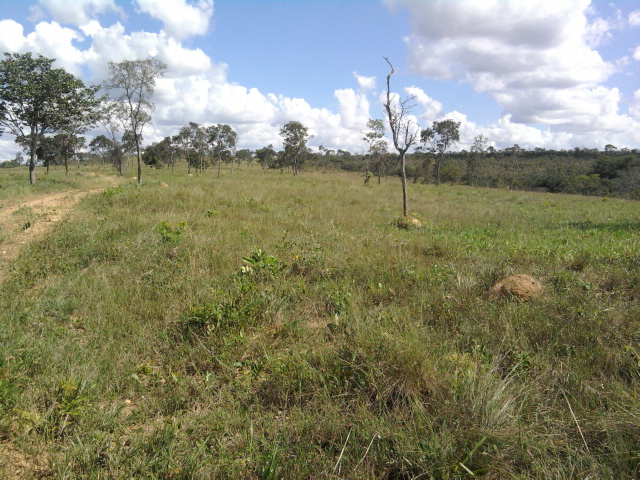 F-10 Fazenda 100 ha Cordisburgo