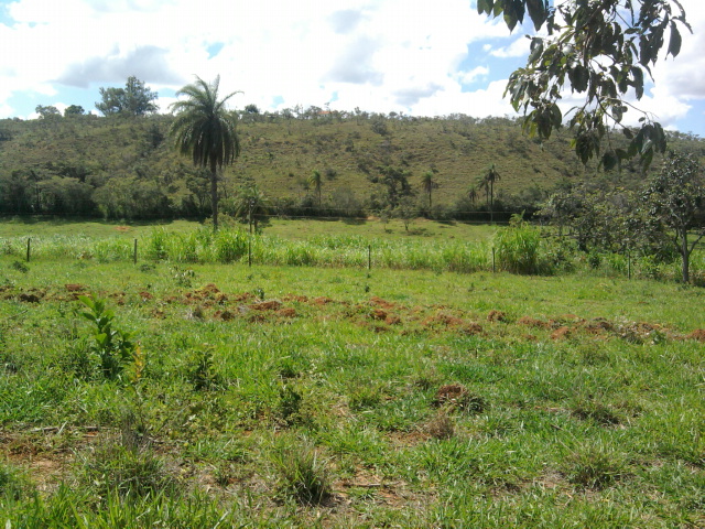 F-14 Fazenda 125 ha Paraopeba