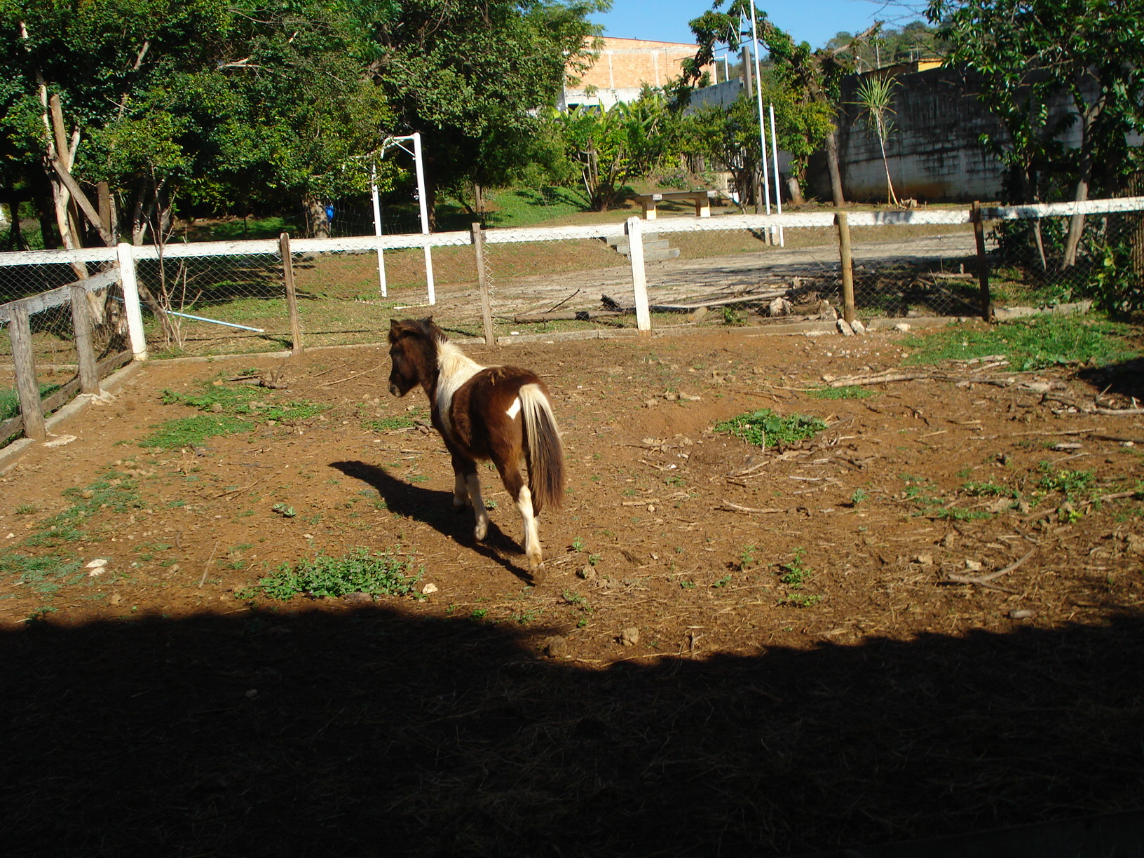 Ch-03 Chacara bairro Lagoa Santo Antonio