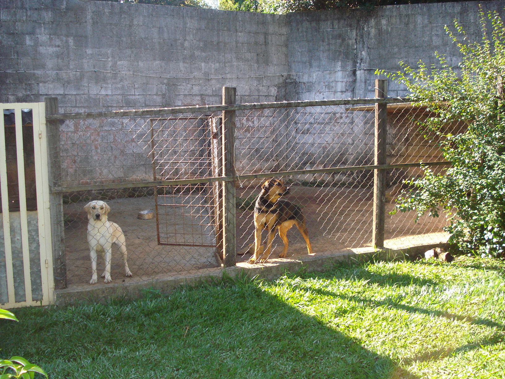 Ch-03 Chacara bairro Lagoa Santo Antonio