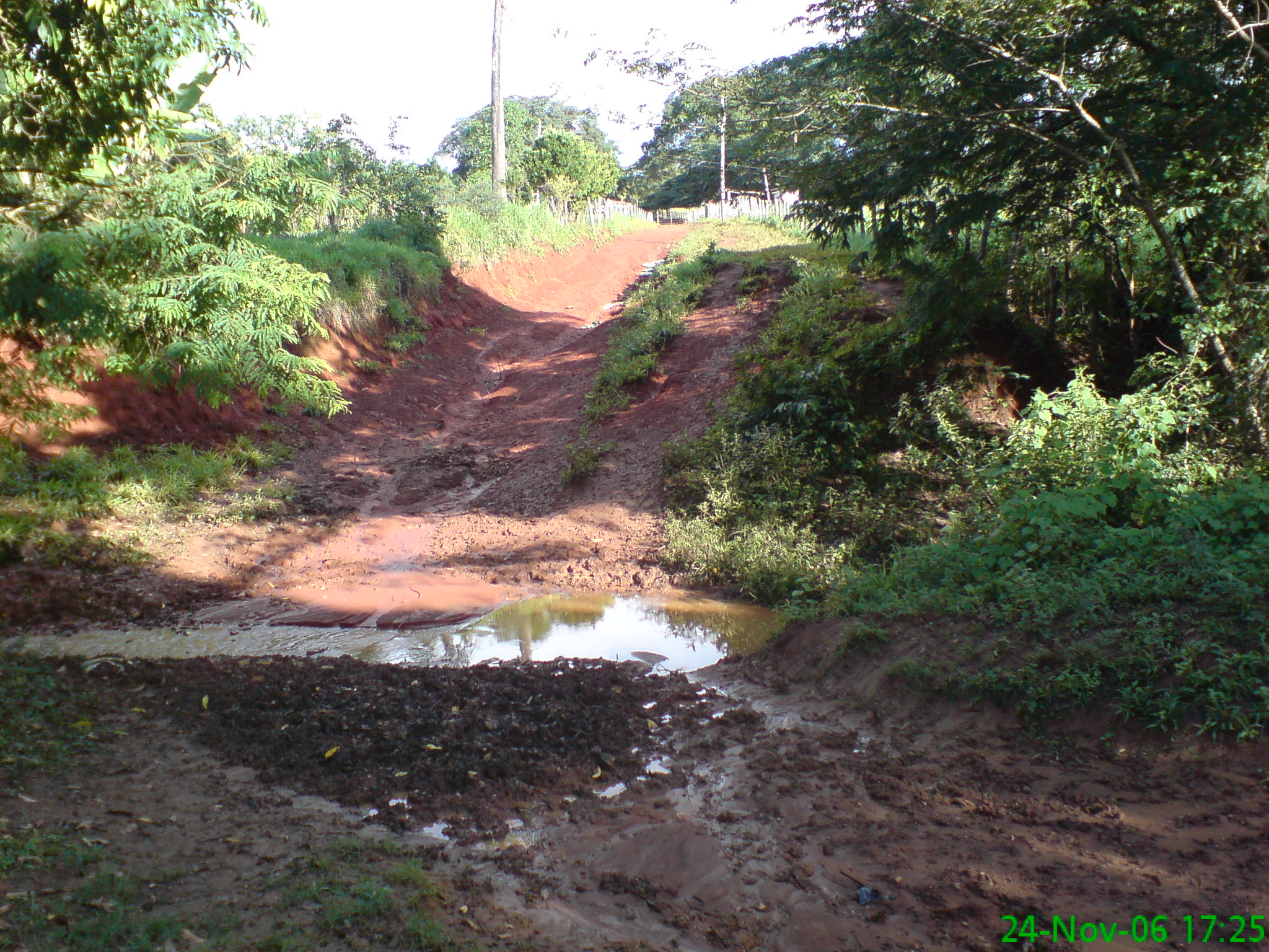 F-11 Fazenda 856 ha Lassance