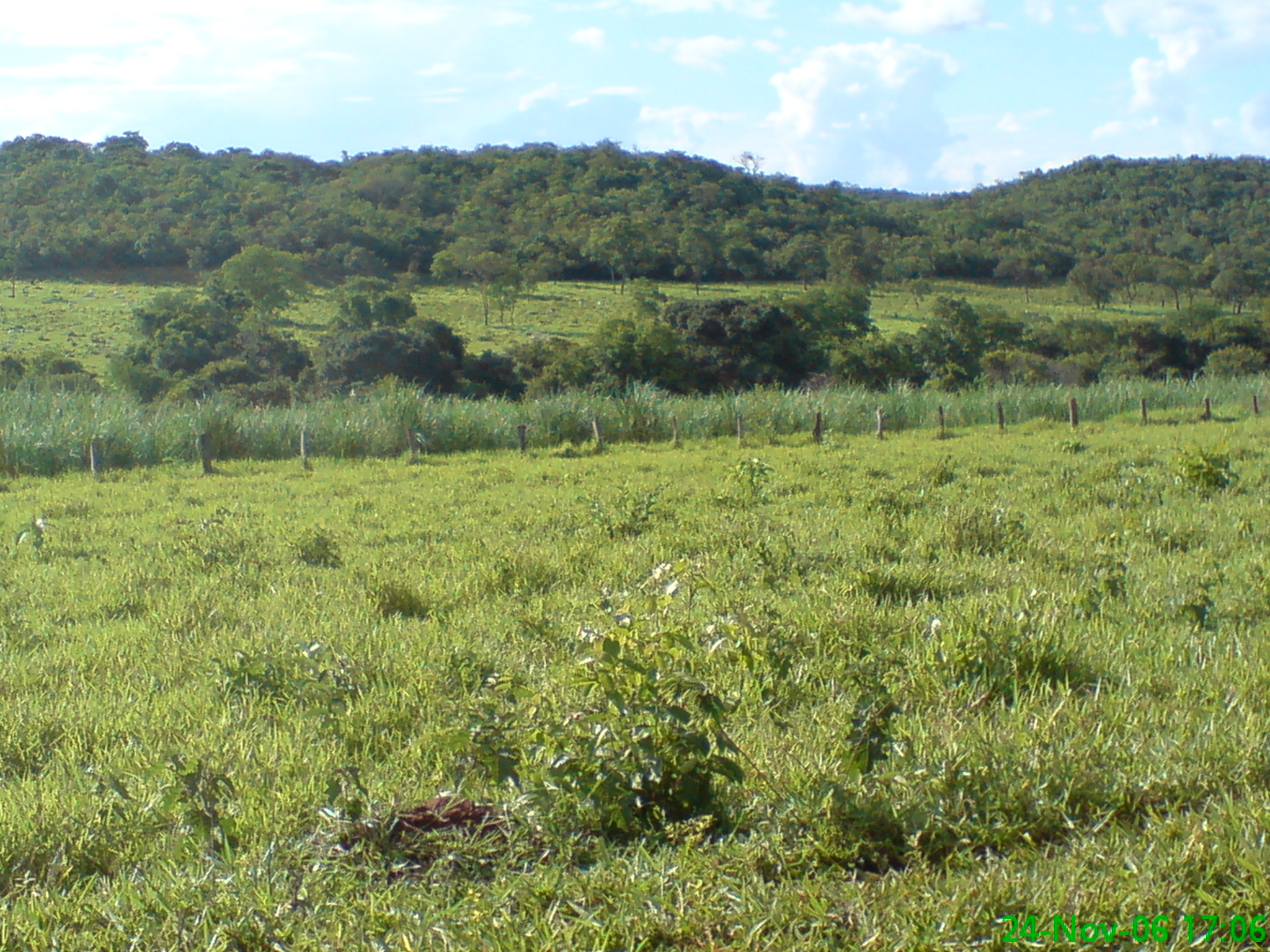 F-11 Fazenda 856 ha Lassance