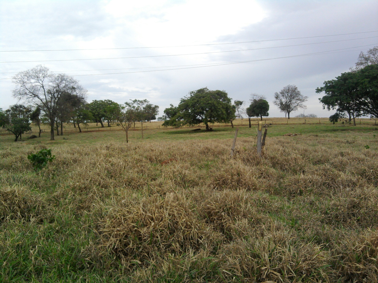 F-12 Fazenda 680 ha Curvelo