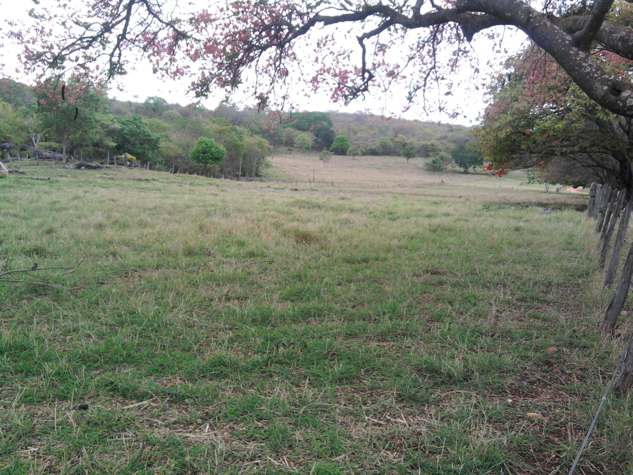 F-12 Fazenda 680 ha Curvelo