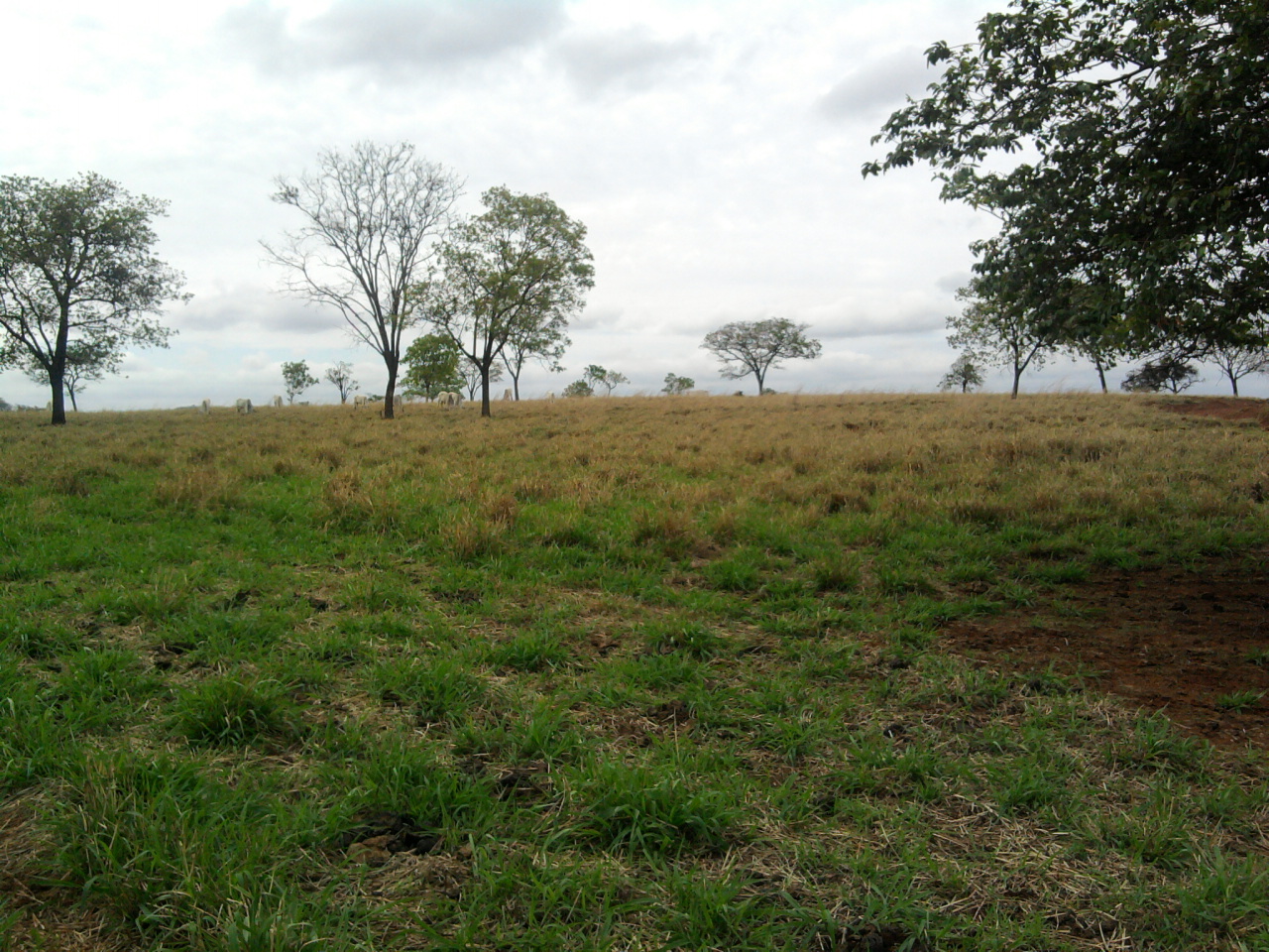 F-12 Fazenda 680 ha Curvelo