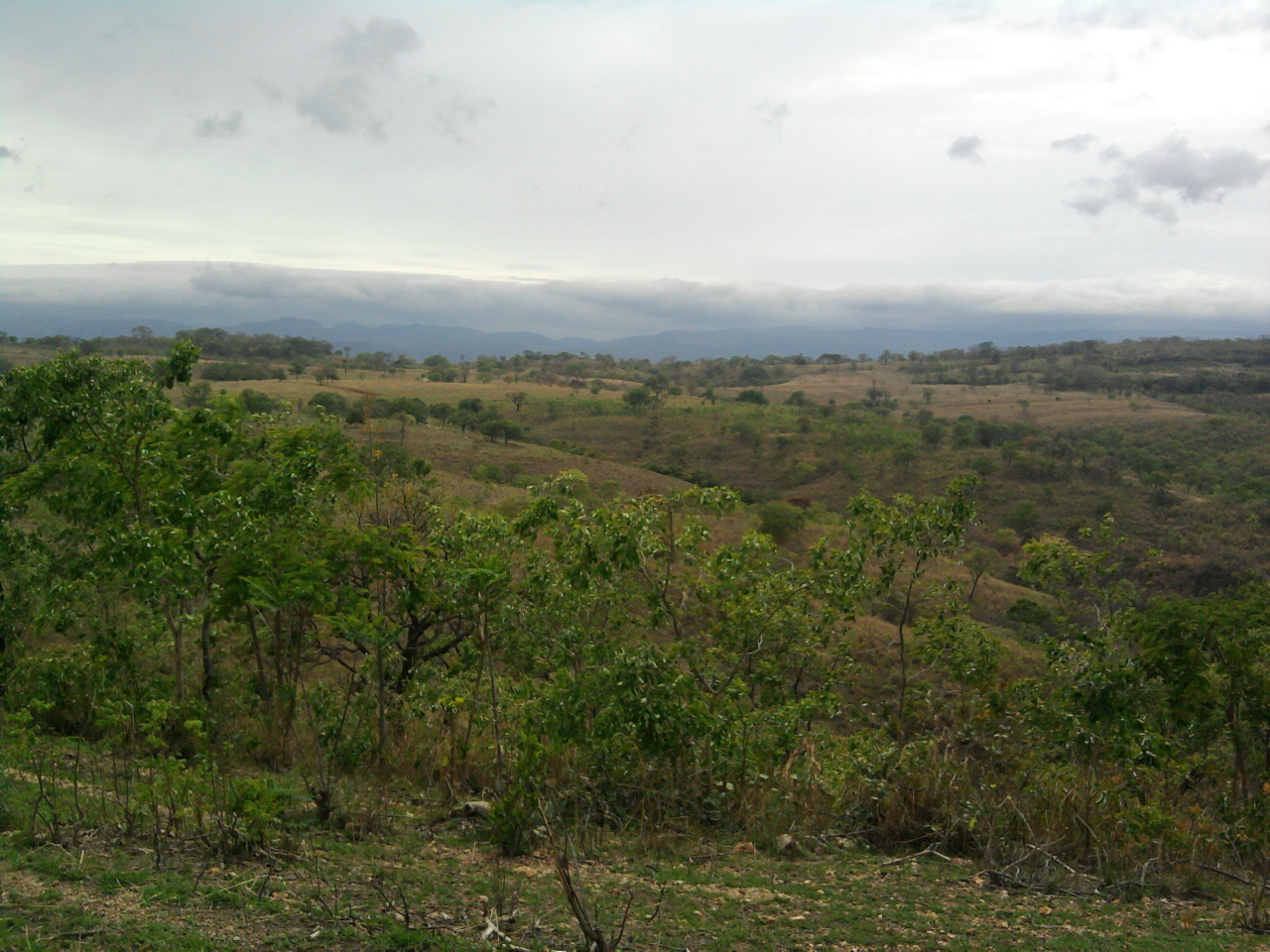 F-12 Fazenda 680 ha Curvelo