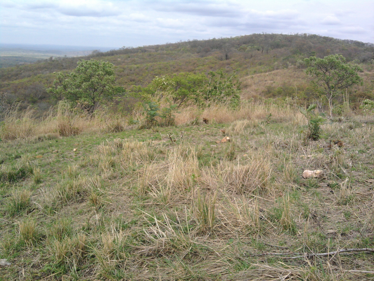 F-12 Fazenda 680 ha Curvelo