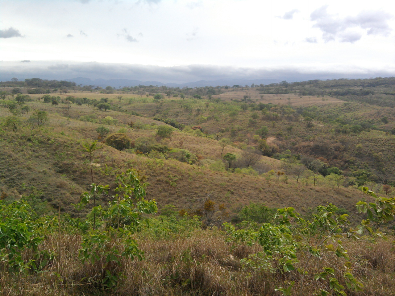 F-12 Fazenda 680 ha Curvelo