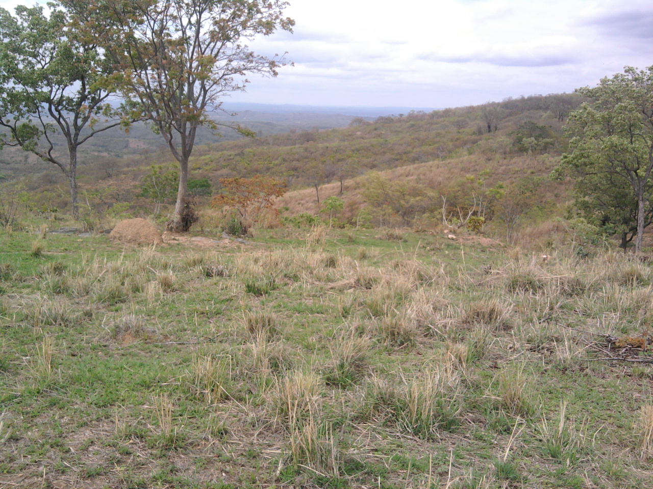 F-12 Fazenda 680 ha Curvelo