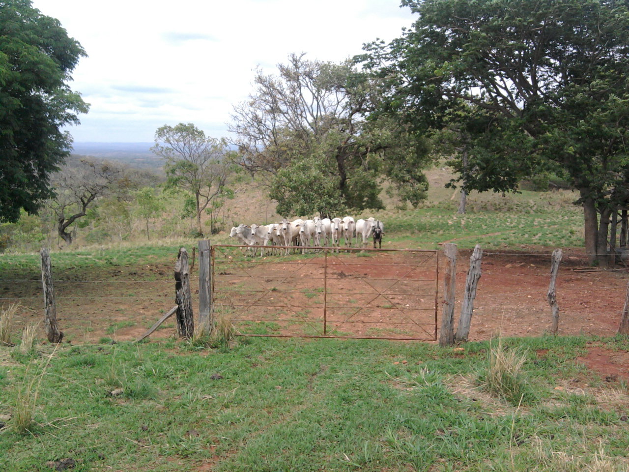 F-12 Fazenda 680 ha Curvelo